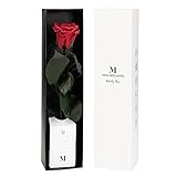Mia Milano Konservierte Rose am Stiel I Rote Infinity Rose in hochwertiger Geschenkbox I Rosen Geschenk für Frauen I Haltbare Rose mit Geschenkkarte
