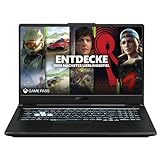ASUS TUF Gaming A17 Laptop (17,3 Zoll, FHD, 1920x1080, IPS-Level, 144 Hz) Gaming Notebook (AMD R7-4800H, 8GB RAM, 512GB SSD, NVIDIA GTX 1660Ti, Win10H) Bonfire Black/QWERTZ
